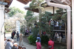 多くのお客様が来山。