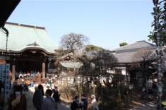 休憩中の境内