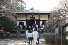 多くの聴衆が表堂の外までいらっしゃいました。