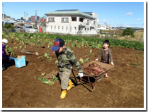 奉納農場