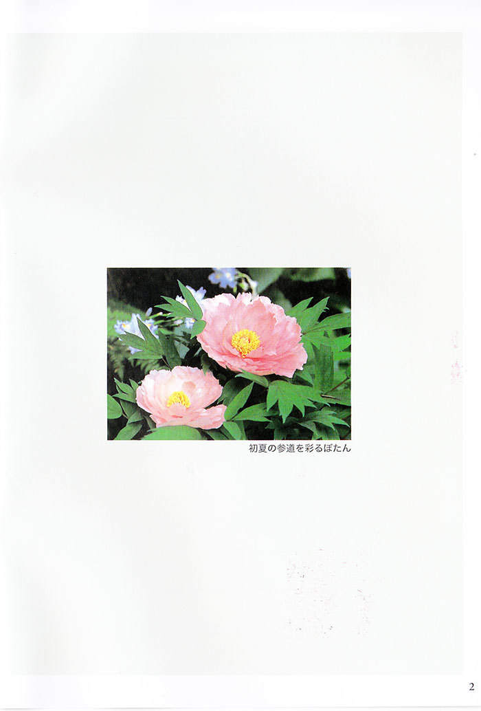 【小冊子】『遠壽院荒行僧 集団脱走事件』の2P