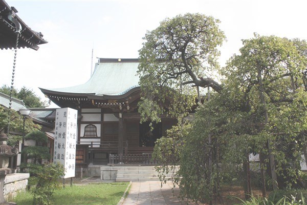 お施餓鬼当日の本堂 