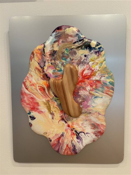 展示作品