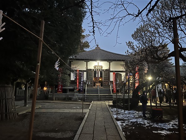 空が白みがかってきました