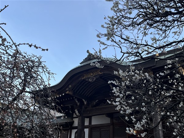 随分明るくなってきました。