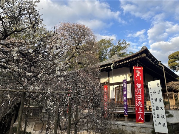 暖かな日差しが指してきました。