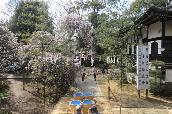 参詣者も集まり始めました