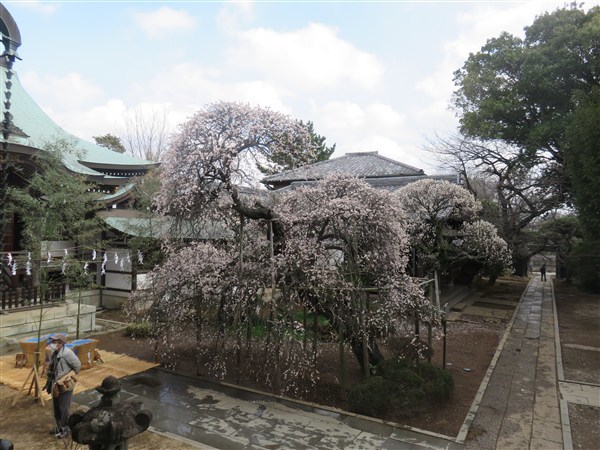 水行後のひと時